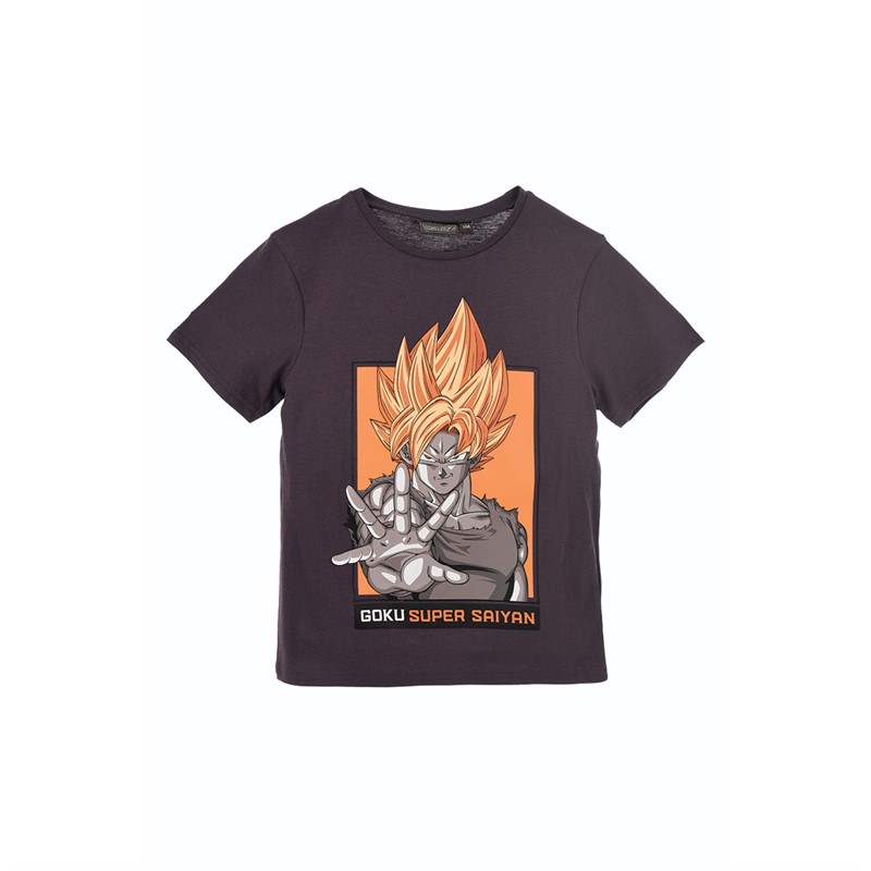 Dragonball Drenge Dragon Ball Z T-shirts Grå