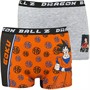 Dragonball Boxers Dragon Ball Z Garçon Multicolore