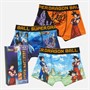 Dragonball Chłopięce Bokserki Wielobarwny