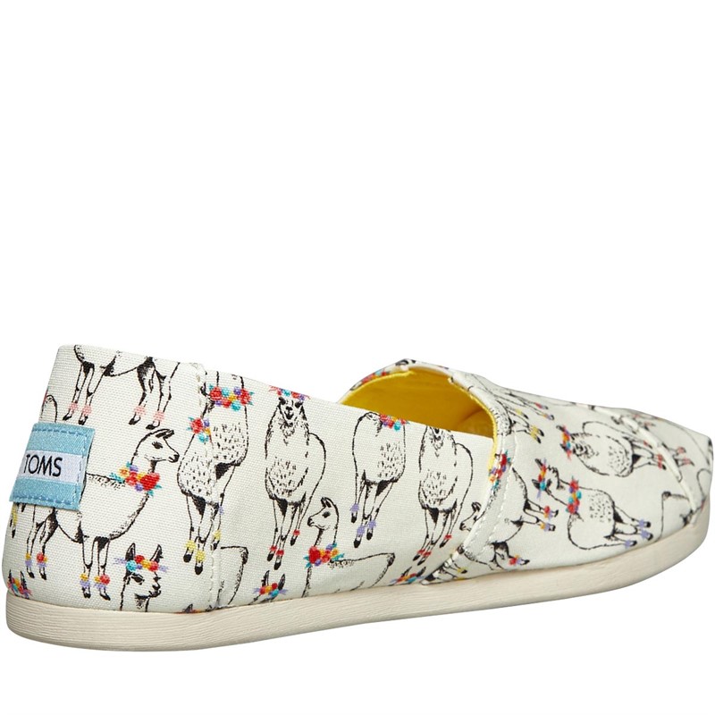 Toms shoes dog store print