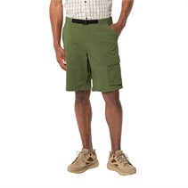 Jack Wolfskin Mens Wanderthirst Shorts Greenwood