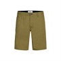 Redefined Rebel Herren Shorts Grün Frühling