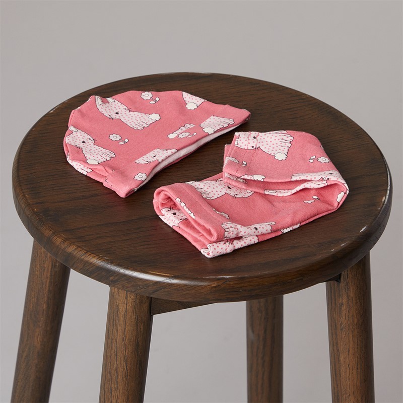 Lily and Jack Girls Bunny Bodysuit Trousers Bib Hat and Six Pairs of Socks Set Pink