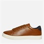 GAP Herren Memphis Cupsole Turnschuhe Ingwer Keks