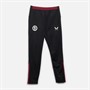 Castore Junior AVFC Aston Villa Players Training Pants Caviar/Rhododendron