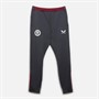 Castore Mens AVFC Aston Villa Coaches Training Pants Ebony/Rhododendron