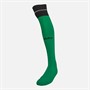 Castore NUFC Newcastle United Away 23/24 Socks Golf Green/Caviar