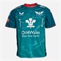 Castore Mens Scarlets 23/24 Away Jersey Blue/Blue