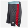 Castore Mens Harlequins FC Gym Shorts Ebony/Jester Red/Sky Blue