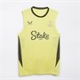 Castore Mens EFC Everton Pro Players Training Vest Yellow