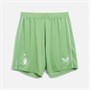 Castore Heren FR Feyenoord 23 / 24 Pro Third Uit Alternatieve Shorts Shamrock / Brilliant White
