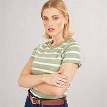 Foxdale Womens Beverly Stripe T-Shirt Sage/White