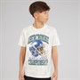 Abercrombie & Fitch Boys Championships T-Shirt Simply Taupe