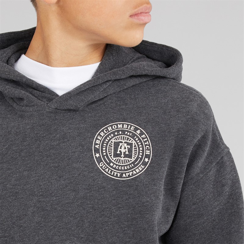 Abercrombie & Fitch Boys Hoodie Anf Anthracite Heather