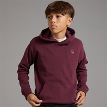 Abercrombie & Fitch Boys Essentials Hoodie Fig