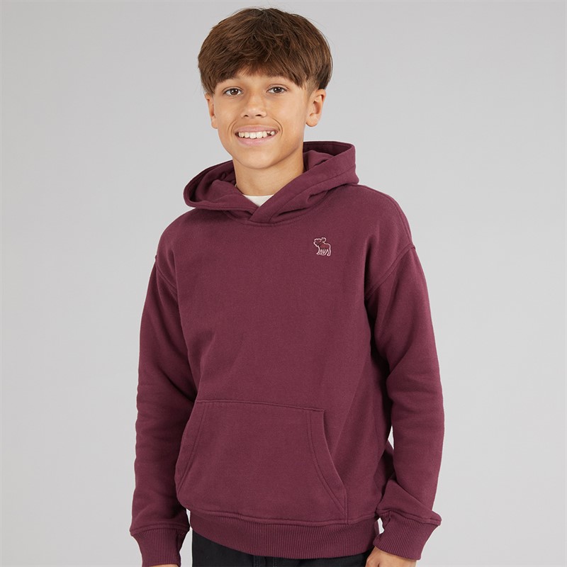 Abercrombie & Fitch Boys Essentials Hoodie Fig