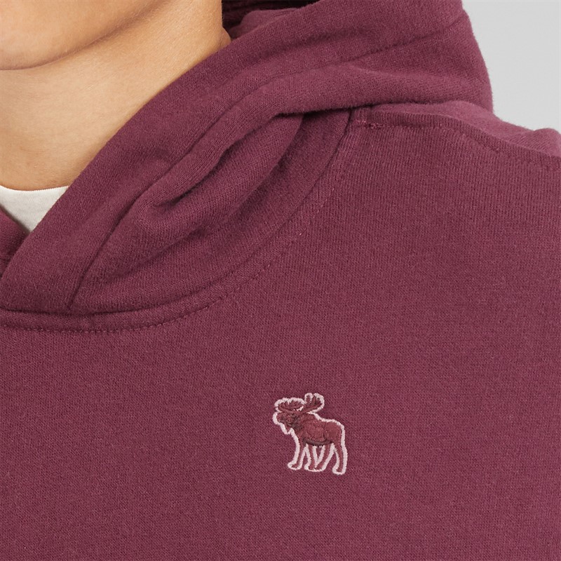 Abercrombie & Fitch Boys Essentials Hoodie Fig