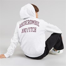 Abercrombie & Fitch Boys Hoodie Anf Light Grey Heather