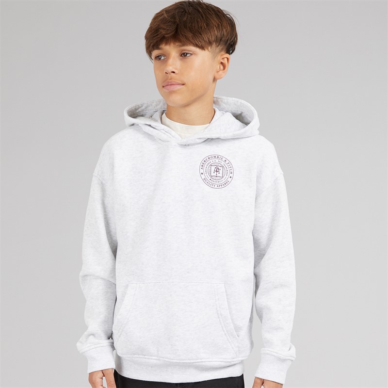 Abercrombie & Fitch Boys Hoodie Anf Light Grey Heather