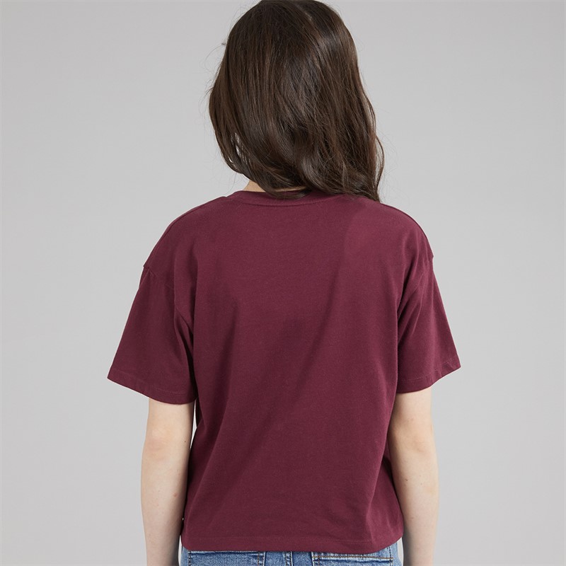 Abercrombie & Fitch Girls Crest T-Shirt Fig