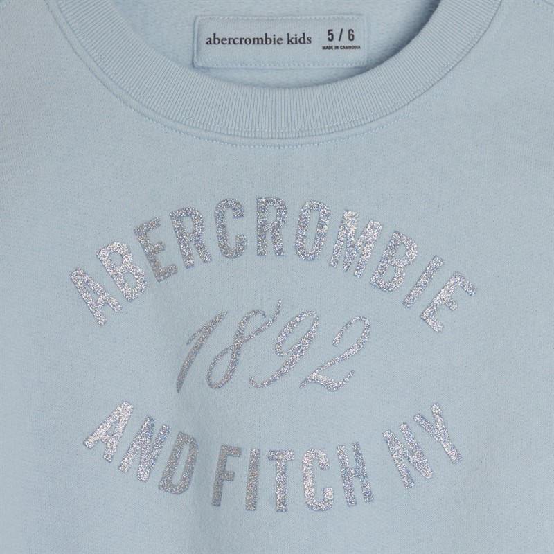 Abercrombie & Fitch Girls Rose Bouquet Sweatshirt Skyway