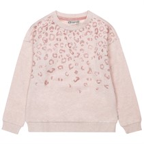 Tumble 'N Dry Piger Sweatshirt Regina Rosa Tan Melange