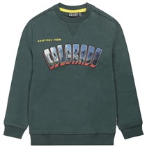 Tumble 'N Dry Jongens Colorado Sweatshirt Groen Gables