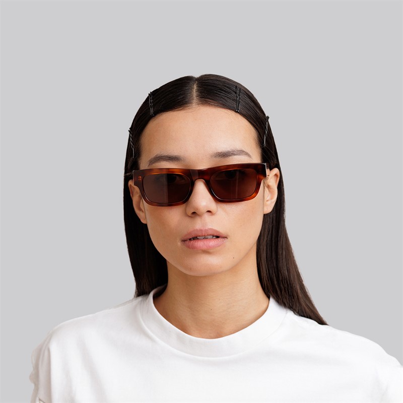 MessyWeekend Ny Dylan Reveal Solbriller Havana/Transparent