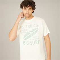 Saltwell Mens Lannacombe T-Shirt Ecru