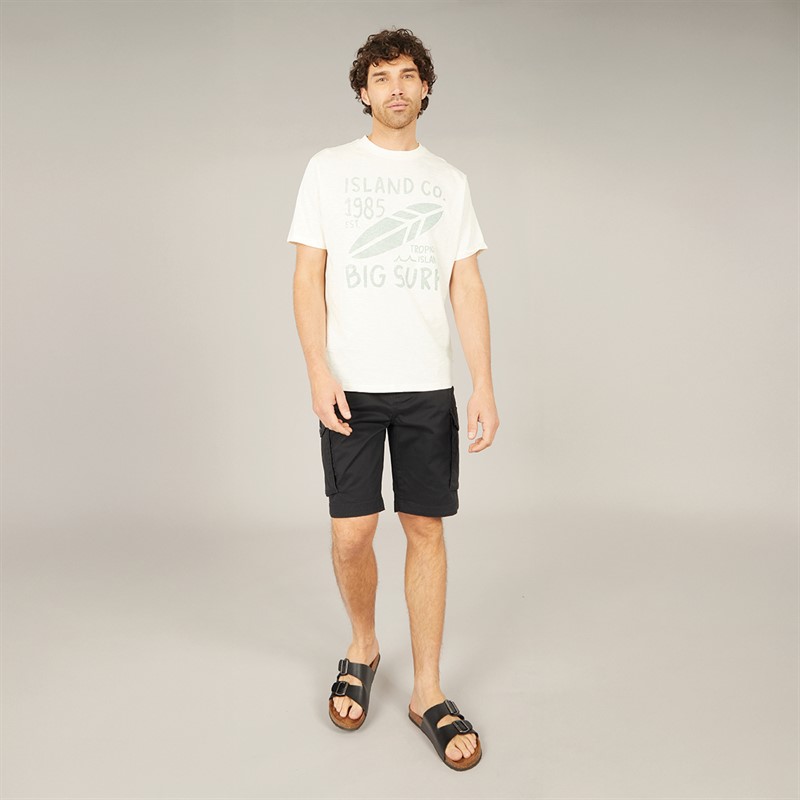 Saltwell Mens Lannacombe T-Shirt Ecru