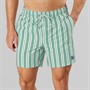 Saltwell Mens Belize Swim Shorts Aqua Green