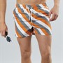 Another Influence Mens Striped Swim Shorts Stripe
