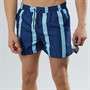 Another Influence Mens Stripe Swim Shorts Navy Stripe