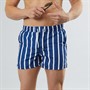 Aray Mens Stripe Swim Shorts Stripe Navy