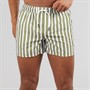 Aray Mens Stripe Swim Shorts Green
