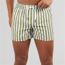 Aray Mens Stripe Swim Shorts Green