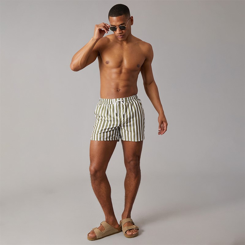 Aray Mens Stripe Swim Shorts Green