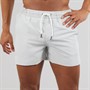 Aray Mens Swim Shorts Grey