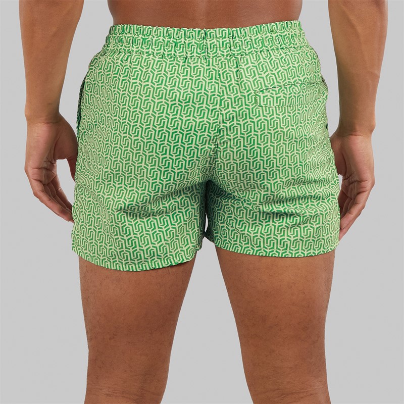 Aray Mens Rowley Geo Swim Shorts Green