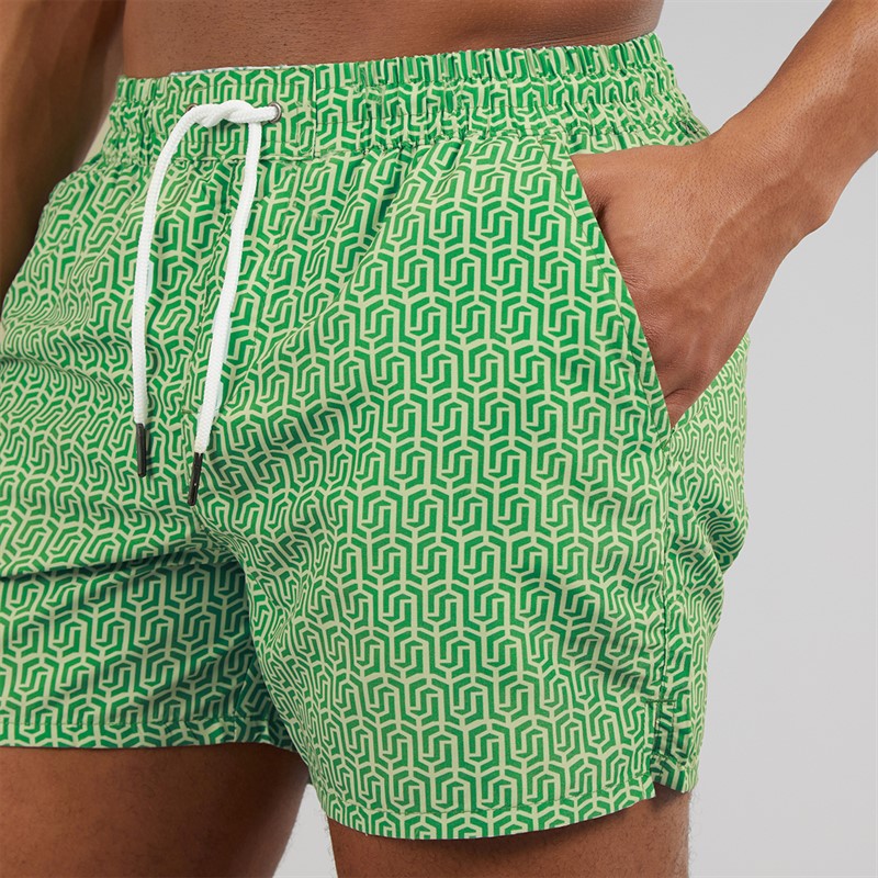Aray Mens Rowley Geo Swim Shorts Green