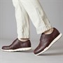 Cole Haan Mens Zerogrand Remastered Wingtip Oxford Shoes Pinot/Ivory