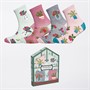The Orrsum Sock Co. Womens Four Pack Greenhouse Socks With Box Multi