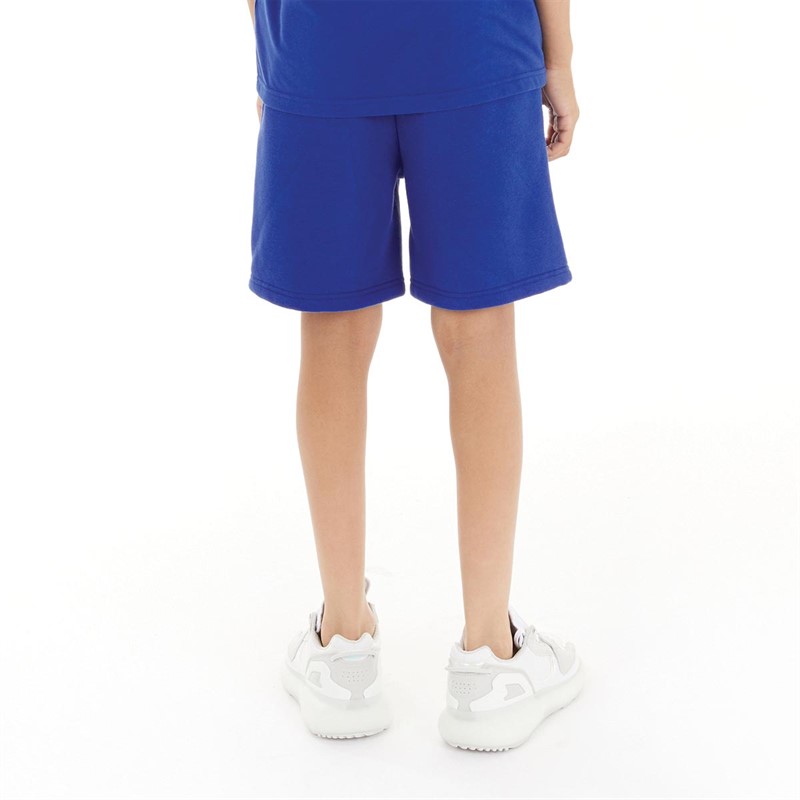 Avant Garde Boys Quadrant Shorts Blue