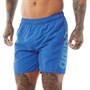 Arena Herrer Fundamentals Logo Boxer Svømme Shorts Kongeblå