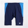 Arena Mens Monogram Jammer Swimming Trunks Navy/Multi