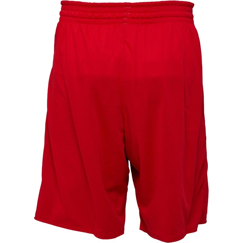 mens bulls shorts