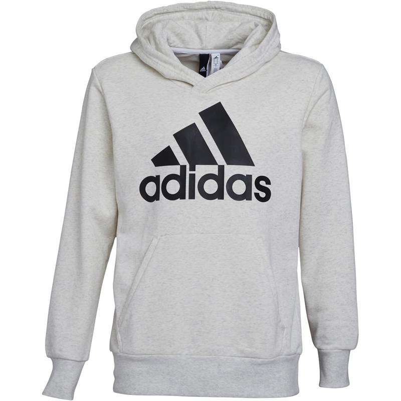 adidas essentials linear pullover hoodie