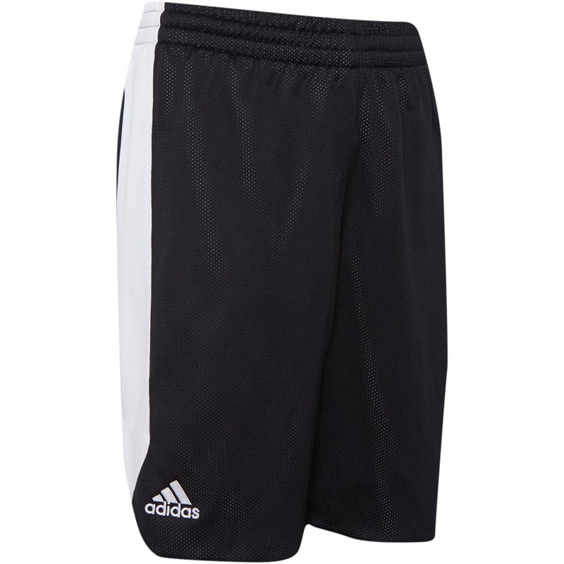 crazy basketball shorts