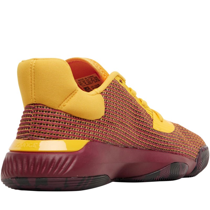 Buy adidas Mens Pro Bounce 2019 Low Basketball Shoes Core Black/Maroon/Collegiate Burgundy