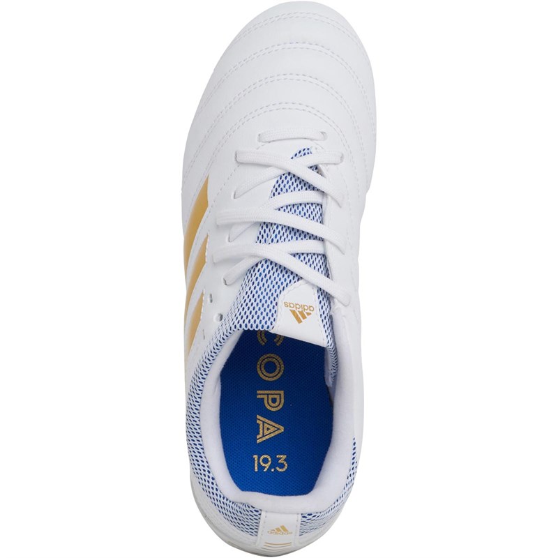 adidas copa 19 firm ground